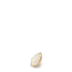 Cheap Anemone small sculpture Sculptures