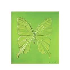 Shop Eternal Beauty, Damien Hirst & , 2015 Art Panels