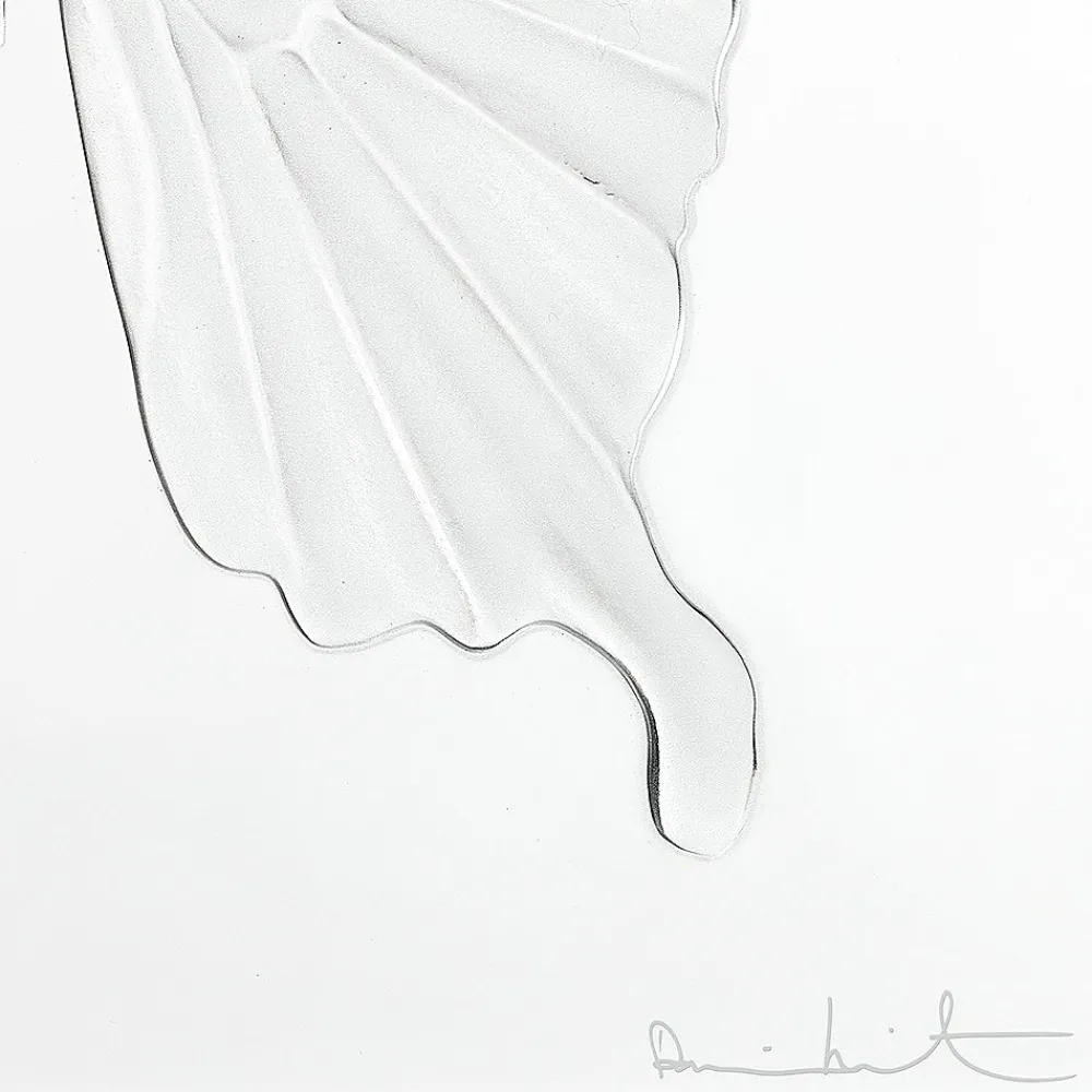 Flash Sale Eternal Beauty, Damien Hirst & , 2015 Art Panels