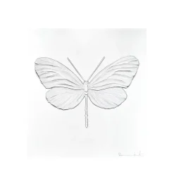 Best Eternal Hope, Damien Hirst & , 2015 Art Panels