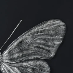 Clearance Eternal Hope, Damien Hirst & , 2015 Art Panels