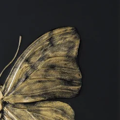 Clearance Eternal Love, Damien Hirst & , 2015 Art Panels