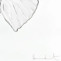 Sale Eternal Love, Damien Hirst & , 2015 Art Panels