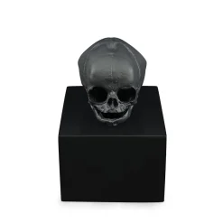 Hot Eternal Memory, Damien Hirst & , 2017 Sculptures