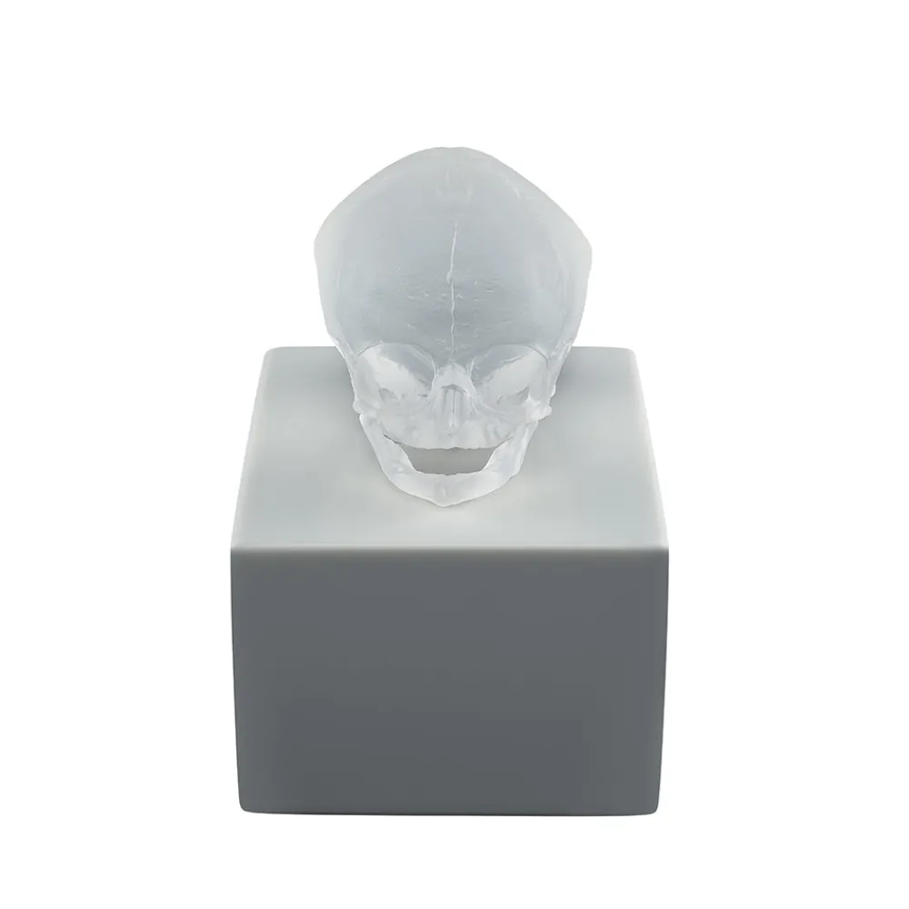 Cheap Eternal Memory, Damien Hirst & , 2017 Sculptures