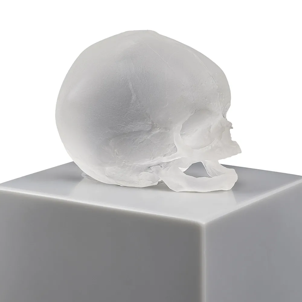 Cheap Eternal Memory, Damien Hirst & , 2017 Sculptures