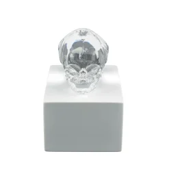 Cheap Eternal Memory, Damien Hirst & , 2017 Sculptures