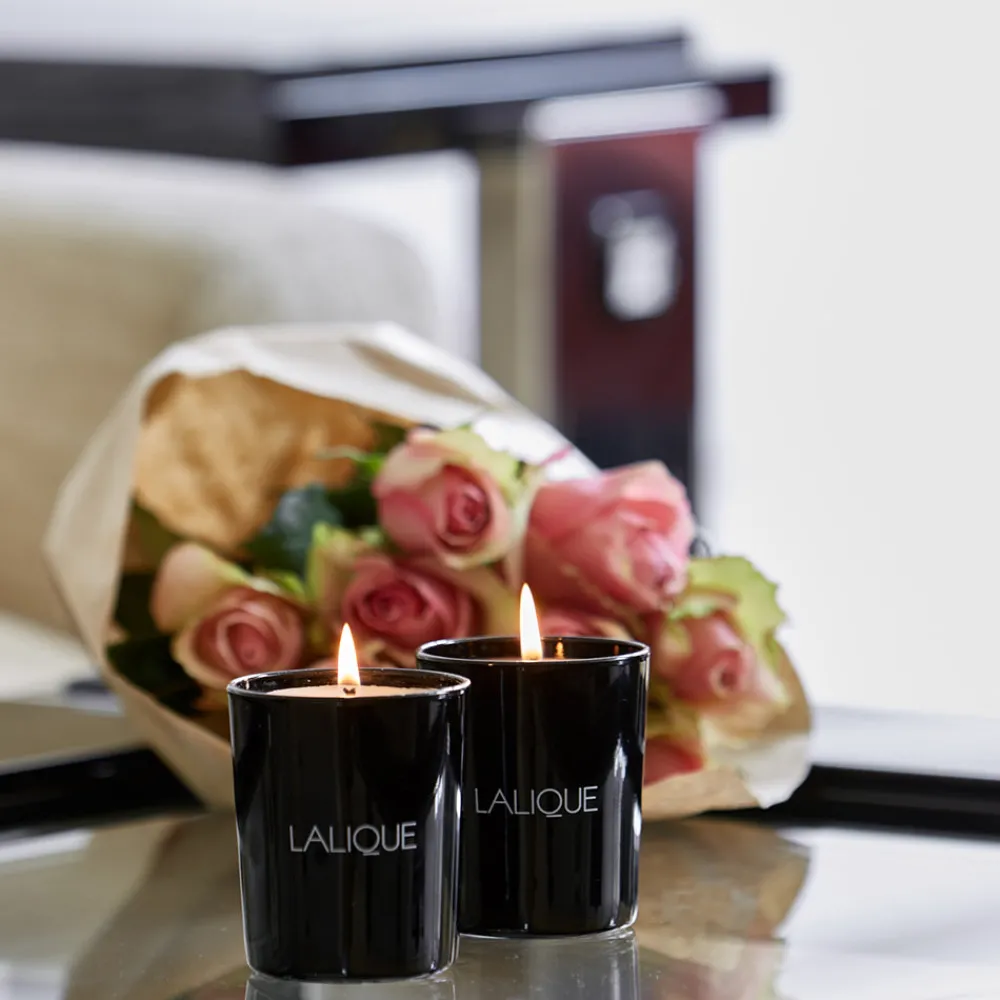Clearance Fig Tree, Amalfi - Italy, Scented Candle Candles