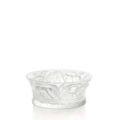 Discount Jungle bowl Bowls