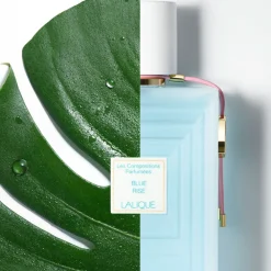 Best Sale Les Compositions Parfumées, Blue Rise, Eau de Parfum Exclusive Collections