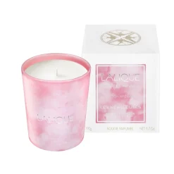 Shop Les Nébuleuses, Bonne Espérance - South Africa, Scented Candle Candles