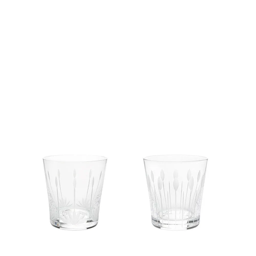 Store Lotus, 2 tumblers set 20 cl Glasses