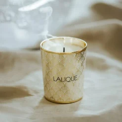 Store Noir Premier, Plume Blanche 1901, Scented Candle Candles