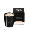 Cheap Néroli, Casablanca - Morocco, Scented Candle, 190g Candles