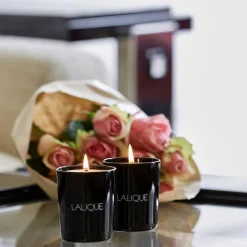 Cheap Néroli, Casablanca - Morocco, Scented Candle, 190g Candles