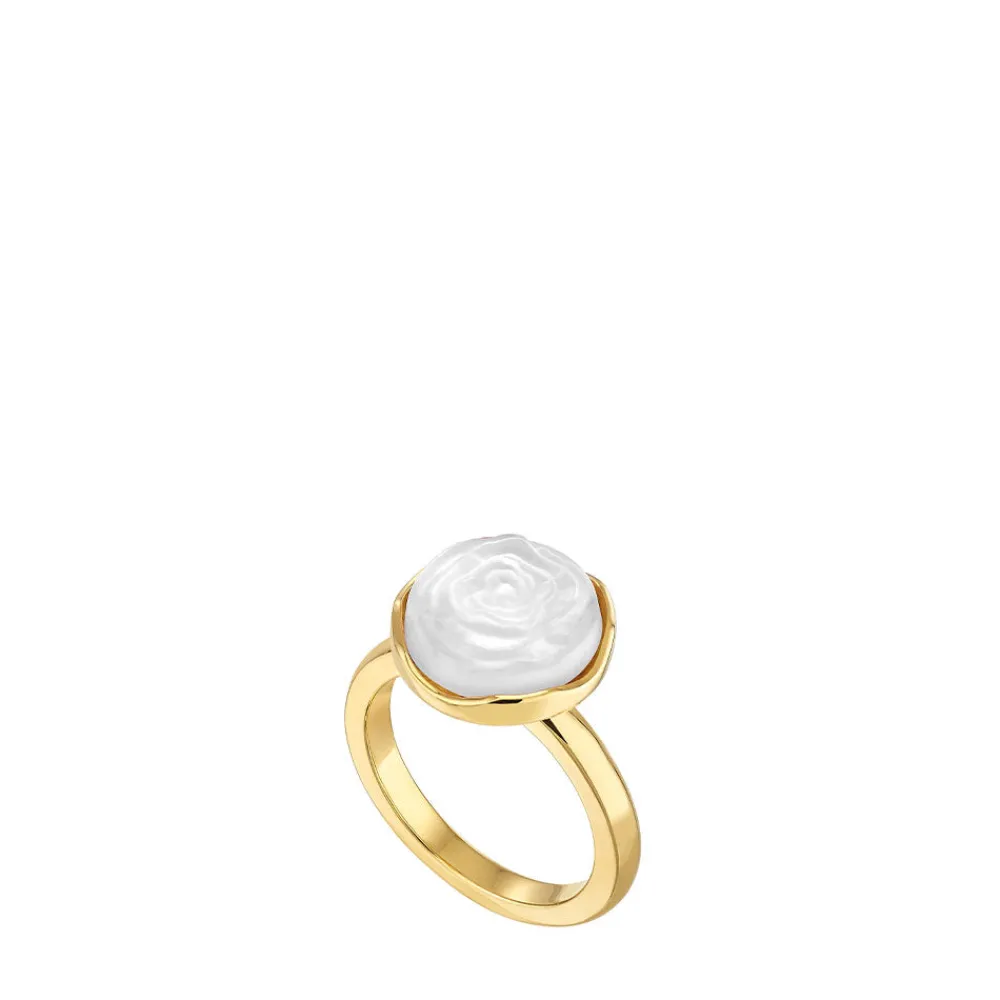 Hot Pivoine Ring Rings