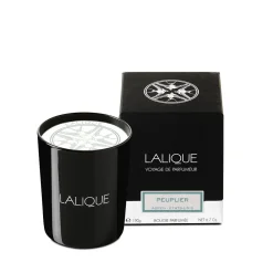 Flash Sale Poplar, Aspen - United States, Scented Candle Candles
