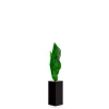 Fashion Still Water by Nic Fiddian Green & , 2024 Sculptures